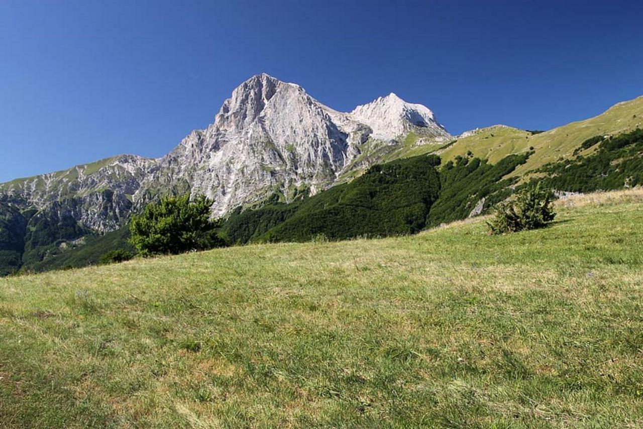 Complesso Turistico Aurora - Camere B&B Poggio Picenze Zewnętrze zdjęcie